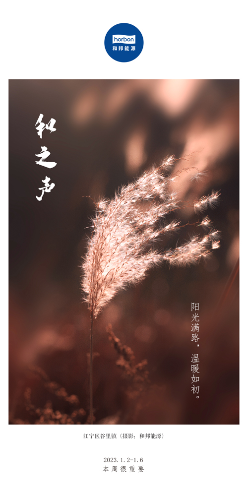 1680578374108429sWS4.jpg 63-和之声(本周很重要)2022.1.2-1中文季杜酌.jpg
