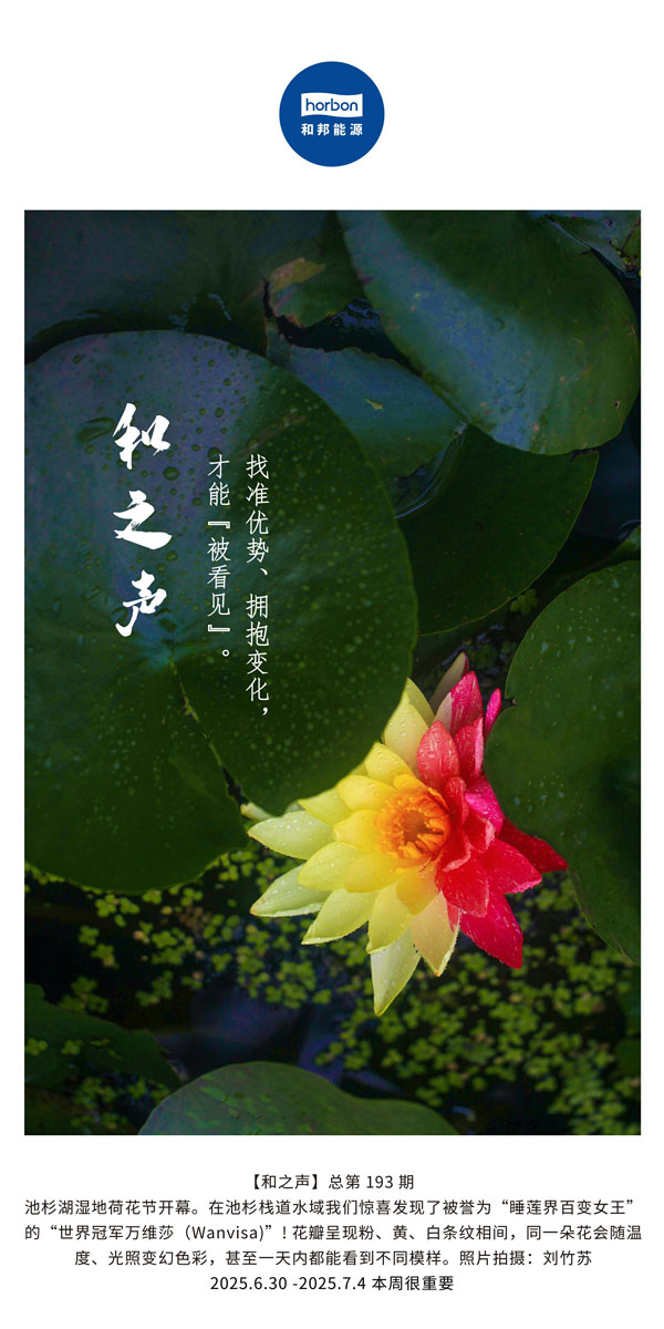 【和之声】找准优势、拥抱变动，能力“被看见”。(总第193期）--2025.6中文导出季度推送用.jpg